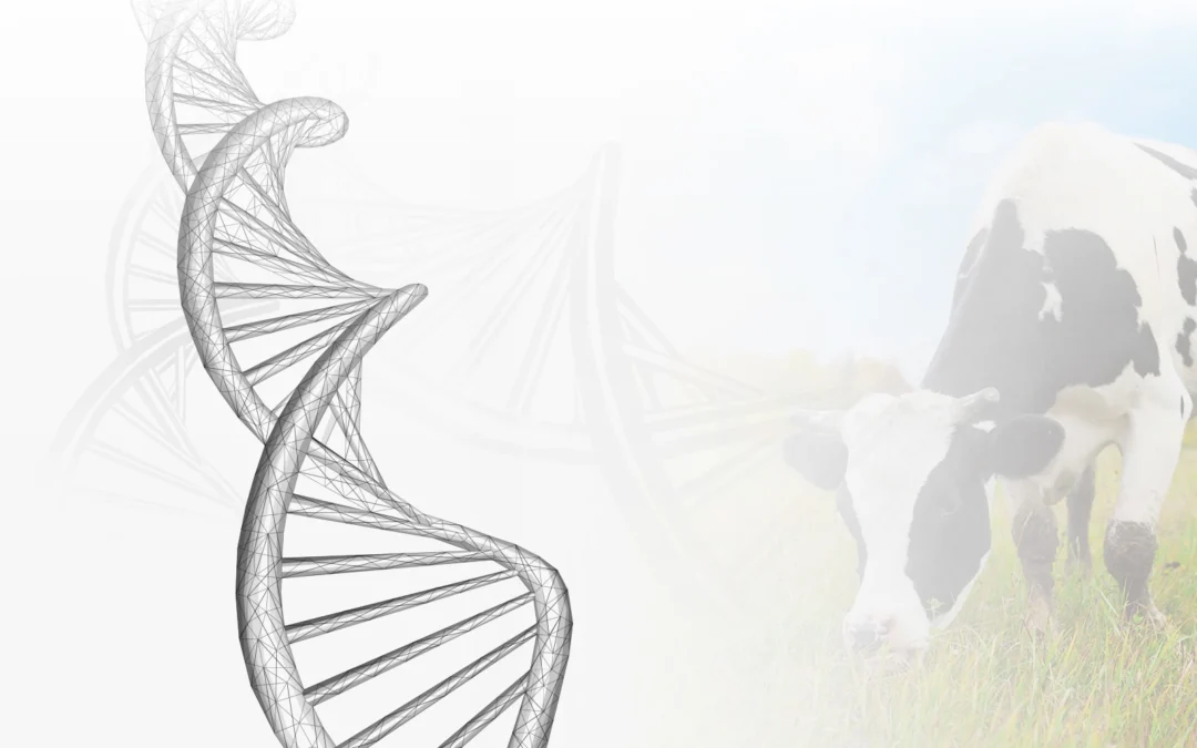 EMBRYOGEN – Stworzenie pierwszego w Polsce, innowacyjnego centrum produkcji genotypowanych zarodków